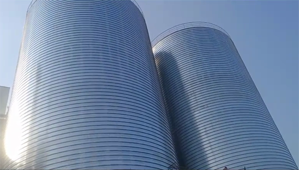 西吉2座混凝土高架卷板仓